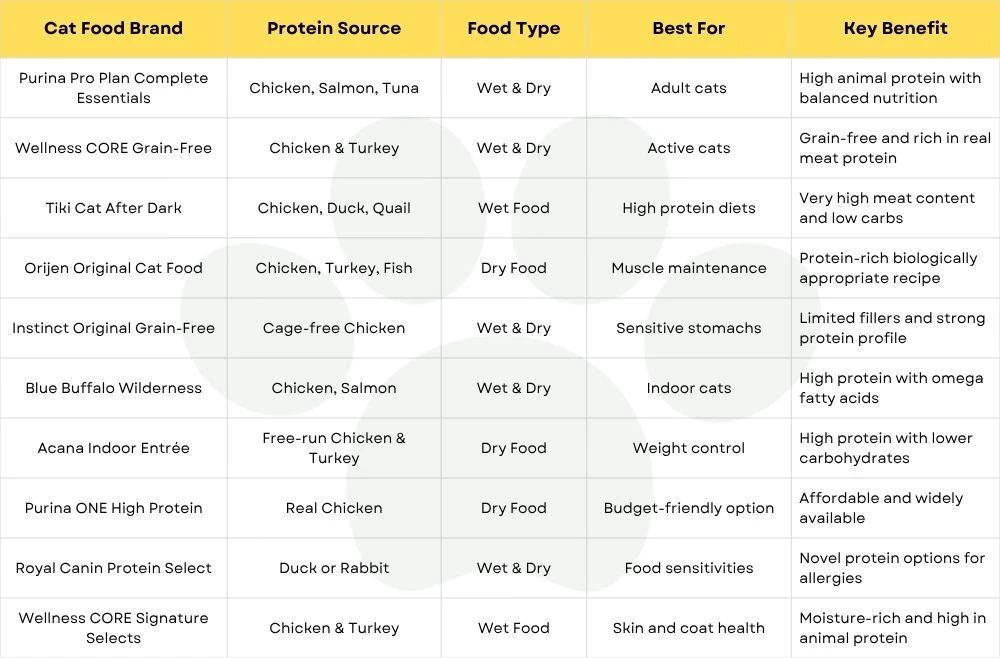 high protein cat food