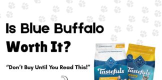 Is Blue Buffalo Cat Food Nutritious? Truthful Review (2026) blue buffalo cat food