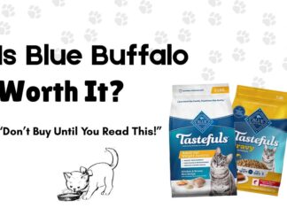 Is Blue Buffalo Cat Food Nutritious? Truthful Review (2026) blue buffalo cat food