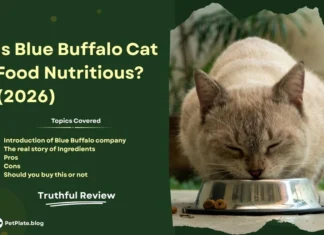 Is Blue Buffalo Cat Food Nutritious? Truthful Review (2026) blue buffalo cat food review