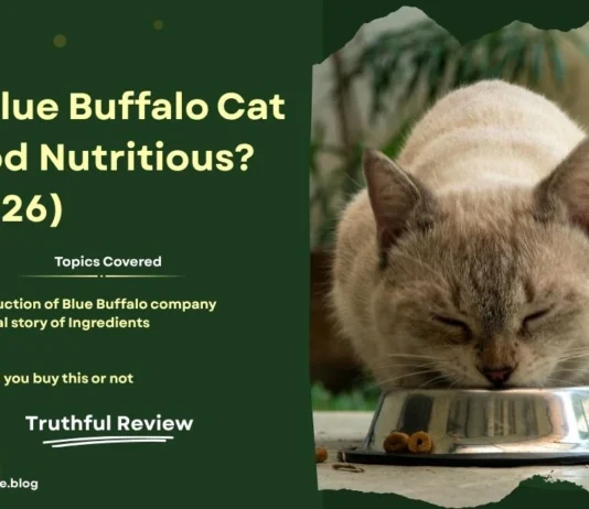 Is Blue Buffalo Cat Food Nutritious? Truthful Review (2026) blue buffalo cat food review