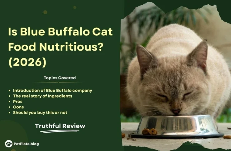 Is Blue Buffalo Cat Food Nutritious? Truthful Review (2026) blue buffalo cat food review