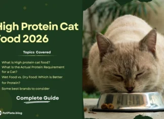 High Protein Cat Food 2026 | What It Is, How Much Your Cat Needs and How to Choose the Right One high protein cat food