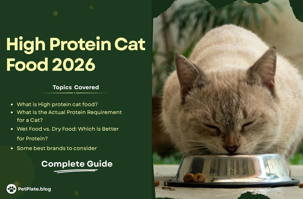 h2 (1) high protein cat food